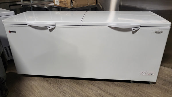 Omcan - FR-CN-0600 - Chest Freezer