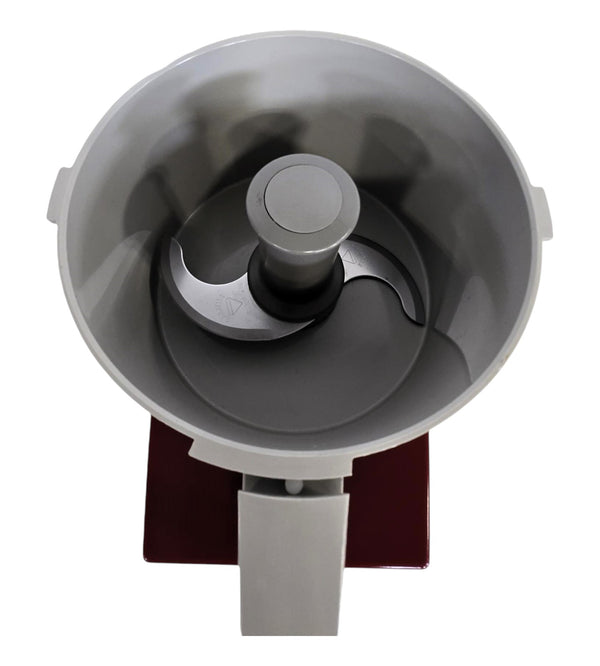 Robot Coupe R2DICE Food Processor