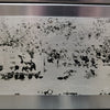 Ikon IRB-36 Radiant Broiler