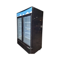 EFI F2-54GDVCe Freezer - 2 Glass Door - 54''
