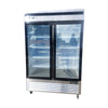EFI F2-54GDSVC Bottom Mount Glass Door Freezer