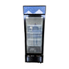 EFI F1-27GDVC Glass Door Freezer