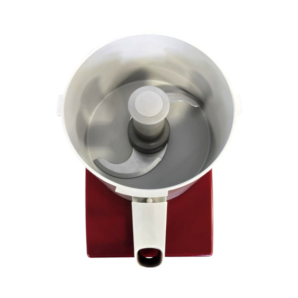 Robot Coupe R2DICE Food Processor