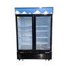 EFI - C2-54GDVC - Fridge - 2 Glass Door - 54 Inch