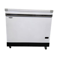 Celcold CF40SG Ice Cream Cabinet