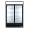 True GDM-49F 2 Glass Door Freezer - Refurbished