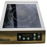 Eurodib IHE3097-120 Induction Cooker (2)