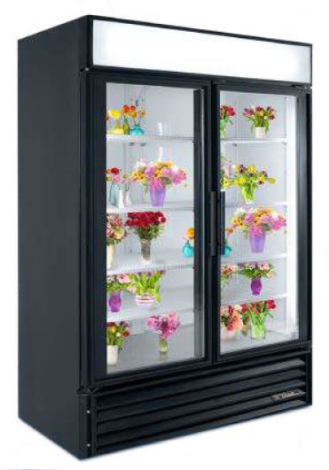 True GDM-49 2 Floral Door Fridge