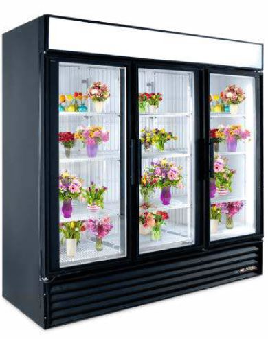True GDM-72 3 Floral Door Fridge